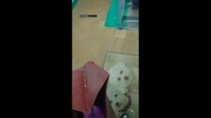 #Сургут #курьер #доставка #Яндекс #Яндекс доставка #работа Артём