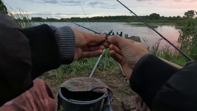 ЛОВЛЯ ЛИНЯ КАРАСЯ НА УТРЕННЕЙ ЗОРКЕ НА ФЛЭТ МЕТОД ФИДЕР