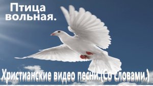 Птица вольная.(Руди Шнайдер.)Христианские песни.
