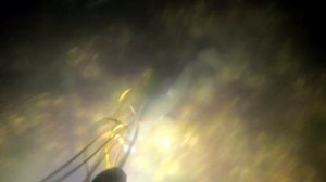 Пеленгасы азовские #4. Ночная подводная охота 2021 на пеленгаса. Генеральские пляжи 2021 июнь