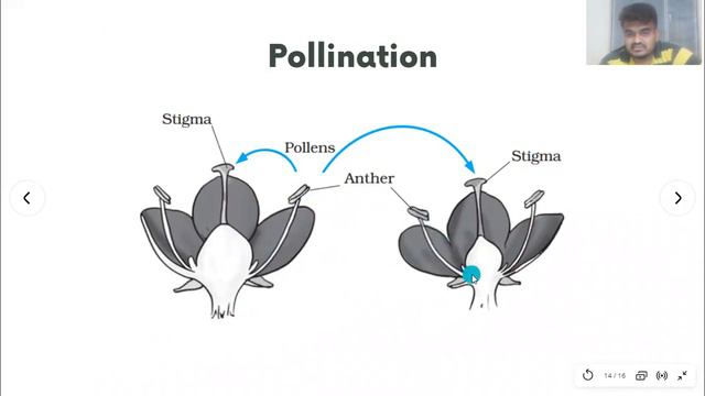 Science 7 смотреть онлайн