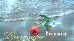 СТАРОЕ КАФЕ МИХАИЛ ШУФУТИНСКИЙ/Владимир