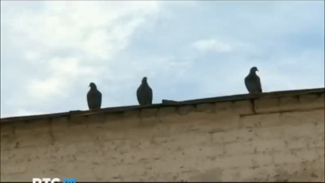 Спасо-Евфимиев монастырь и Владимиро Суздальский музей-заповедник смотреть онлайн