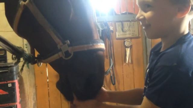 Лошадь ест ребёнка смотреть онлайн