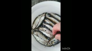 21 августа 2023 г.