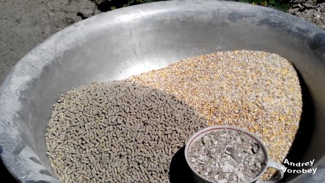 Чем кормить бройлеров, для укрепления костей. смотреть онлайн