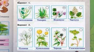 Окружающий мир. Рабочая тетрадь 4 класс 1 часть. ГДЗ стр. 75 №3