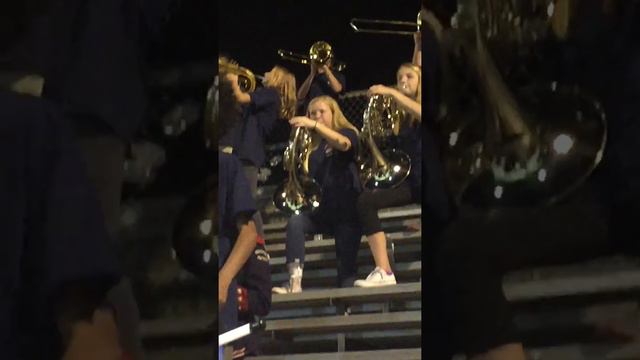 My sister playing the French horn at Homewood High School game