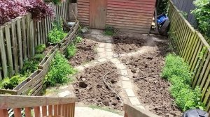 Planting ground cover and Dogs new pool 🐕🐾🐕