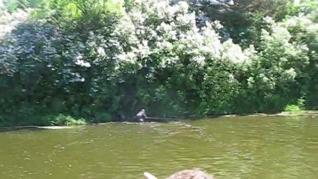 Отдых на Истре смотреть онлайн