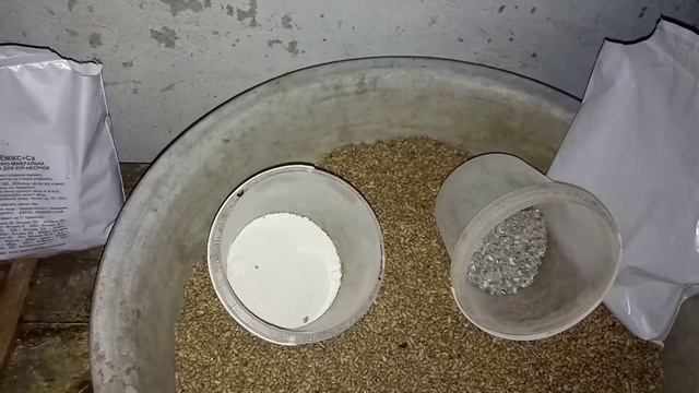 Что лучше ракушка или мел? смотреть онлайн