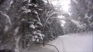 охота на снегоходе часть-2 Lynx 59 Yeti 600 ACE