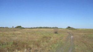 Опустевший посёлок Лесной, Аткарский район