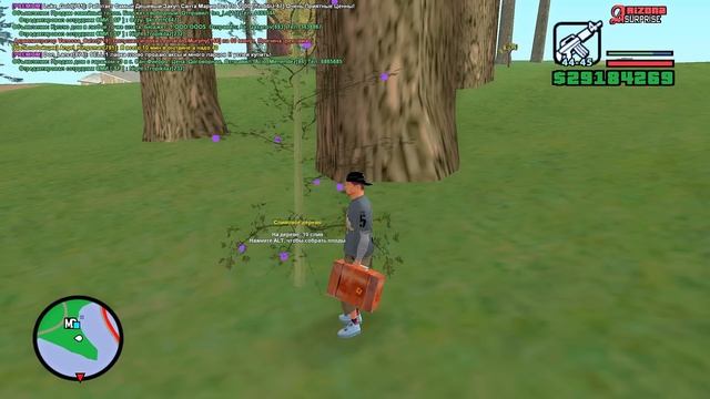 ЖИЗНЬ БОМЖА в SAMP #73 - КУПИЛ ГРАБЛИ (АРИЗОНА РП САМП) смотреть онлайн