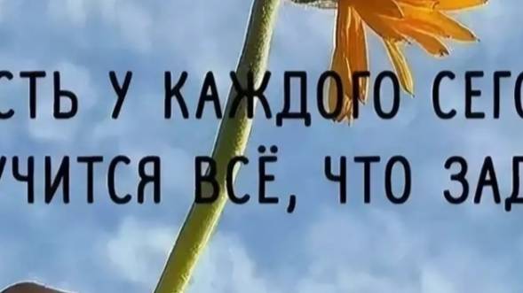 Послание дня 21.08
