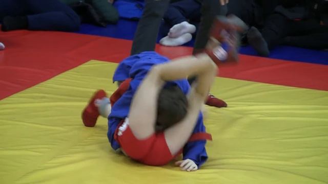 28.02.16 КУБОК ЦФО (1-й этап) - Борьба