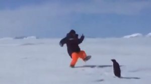 Злой очень злой Пингвин