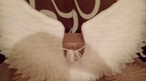 Обзор на КРЫЛЬЯ АНГЕЛА. Из подложки.