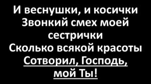 СОЛНЦЕ, НЕБО, КРОКОДИЛ (Lyrics Video)