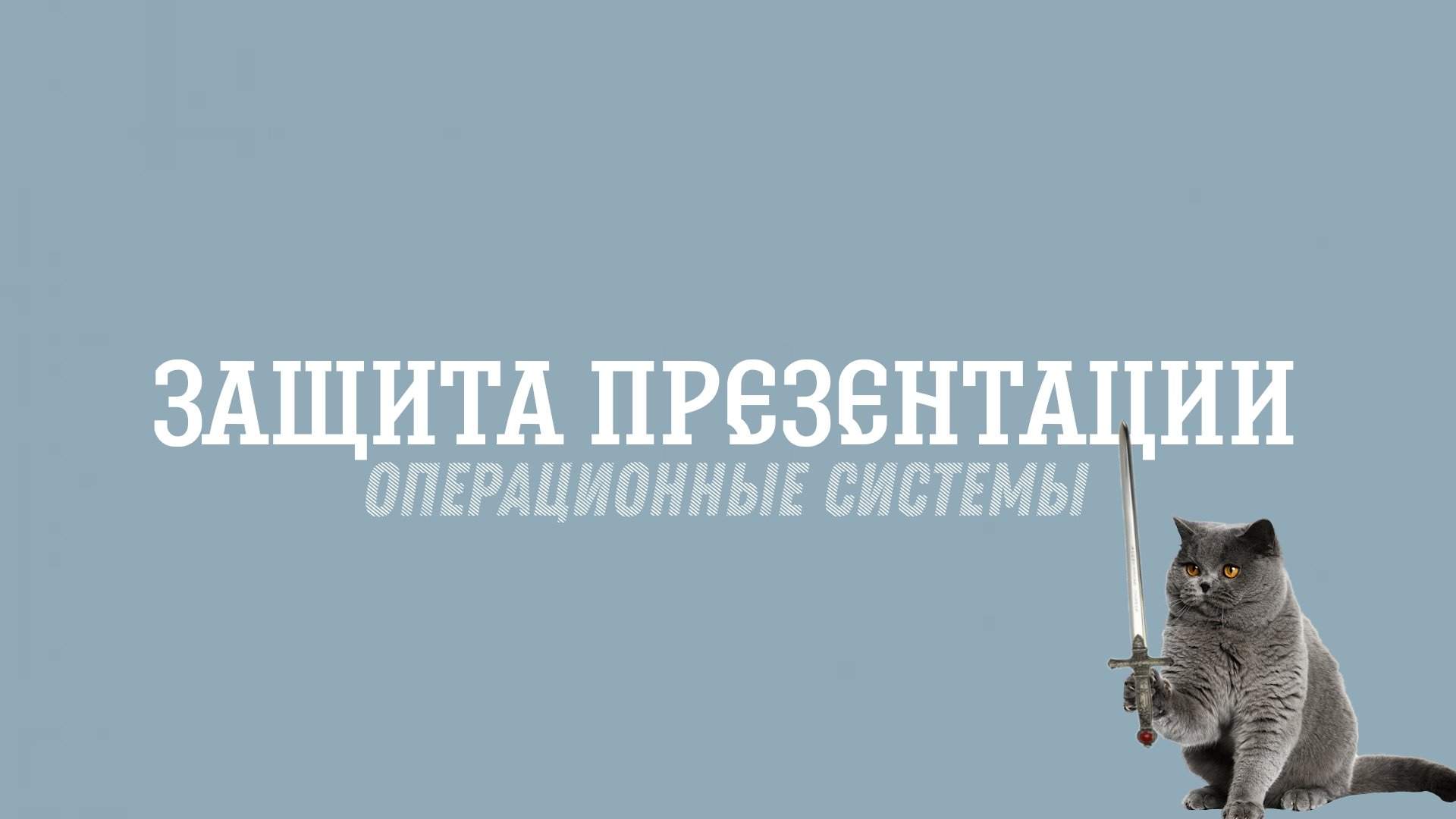 Лабораторная работа № 6. Защита