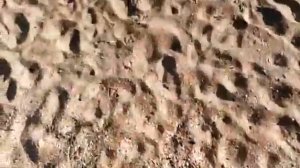 Алушта   Анапа и обратно 14