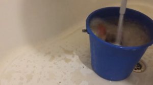 Чистим картошку дрелью