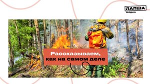 ФЕЙК: В Челябинской области неизвестные люди поджигают леса за деньги