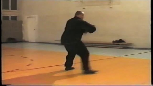 108 форм тайцзы цюань, стиль Ян смотреть онлайн