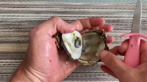 Как открыть устрицы | How to open oysters