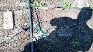 Как я использую "тройник" и "колено" для "капельного полива".