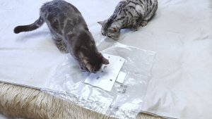 Как достать недоставаемое?