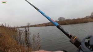 В самый неклёвый день выручил Ито Шайнер ! )) Отчёт о вечерней рыбалке 5 ноября 2021.