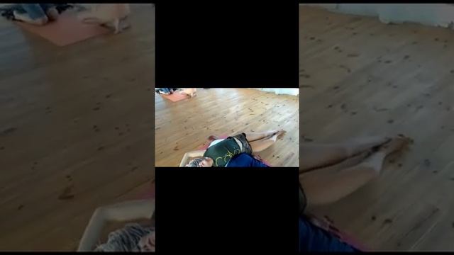 Массаж для пар Мастер Класс @drcollinsmethod смотреть онлайн