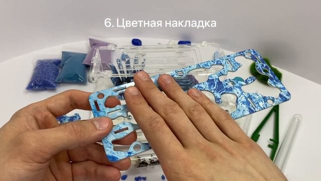 Как выбрать муравьиную ферму?
