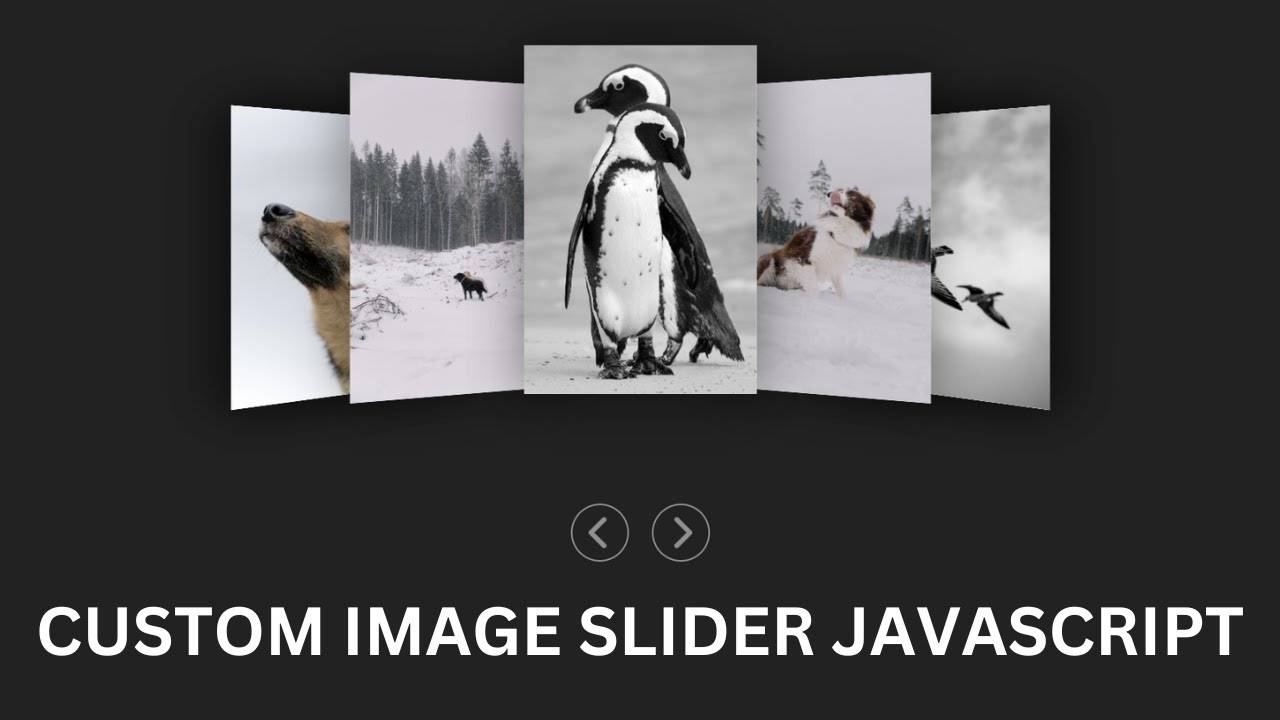 Как создать собственный слайдер 3D-изображений с помощью HTML CSS и JavaScript