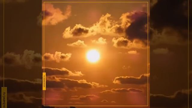 Масло-гель для душа смотреть онлайн