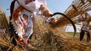 Значение праздника жатвы     слово А. И. Матвейчук