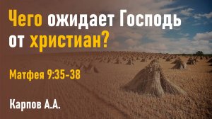 Чего ожидает Господь от христиан? | Карпов А.А.