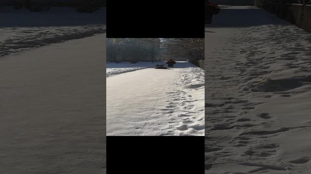 Чара катает Витюху.mp4 смотреть онлайн