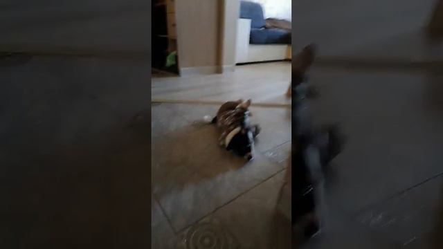 как же я буду идти гулять я устала несите на руках смотреть онлайн