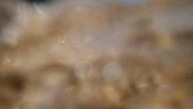 Olympus TG-5, slowmotion test (HD, 240 fps) смотреть онлайн