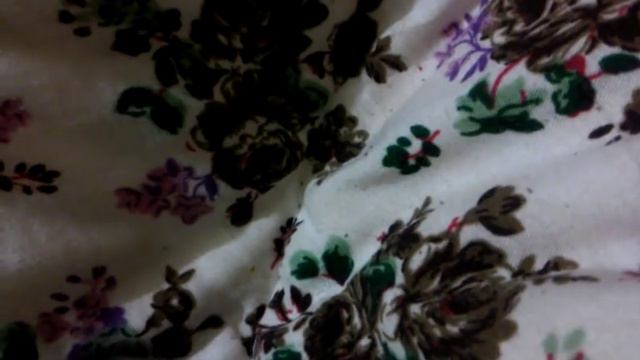 Хомяк смотреть онлайн