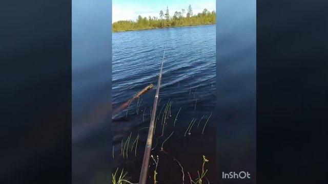 Видеоблогер Павел на рыбалке смотреть онлайн