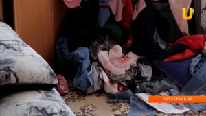 Прошел профилактический рейд по неблагополучным семьям