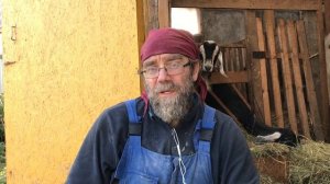 КАКИХ И КАК ВЫБРАТЬ КОЗ В ХОЗЯЙСТВО