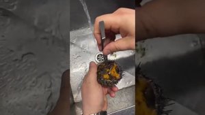 Как чистить морского ежа