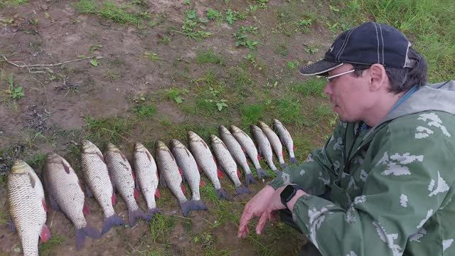 Одна из удачных рыбалок августа 2023. Река Вымь. Республика Коми.