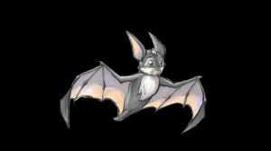 Видео презентация книги "Шоколадный дайвинг и другие приключения мышки Маринки"