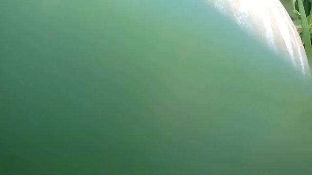 яйцо динозавра смотреть онлайн