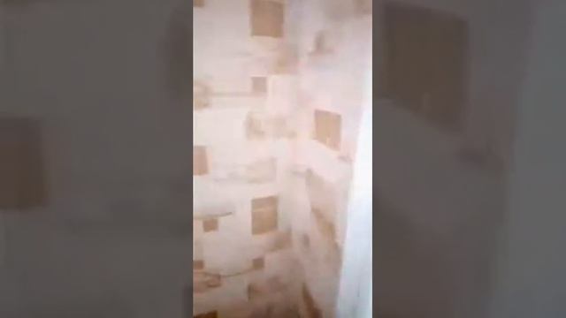 Обзор квартиры в Киеве на ул. Княжьем Затоне за 303$